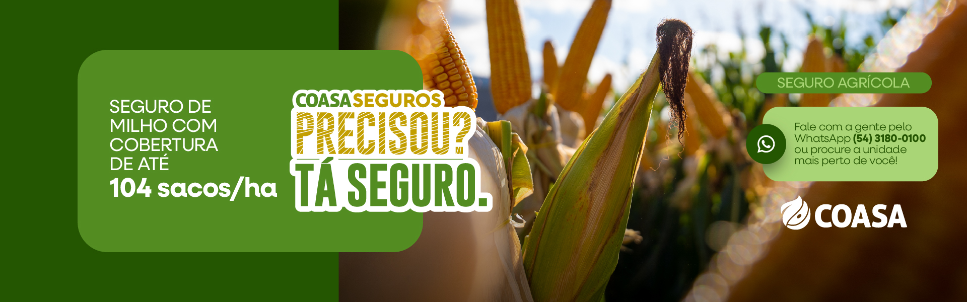 Seguro agrícola - milho junho