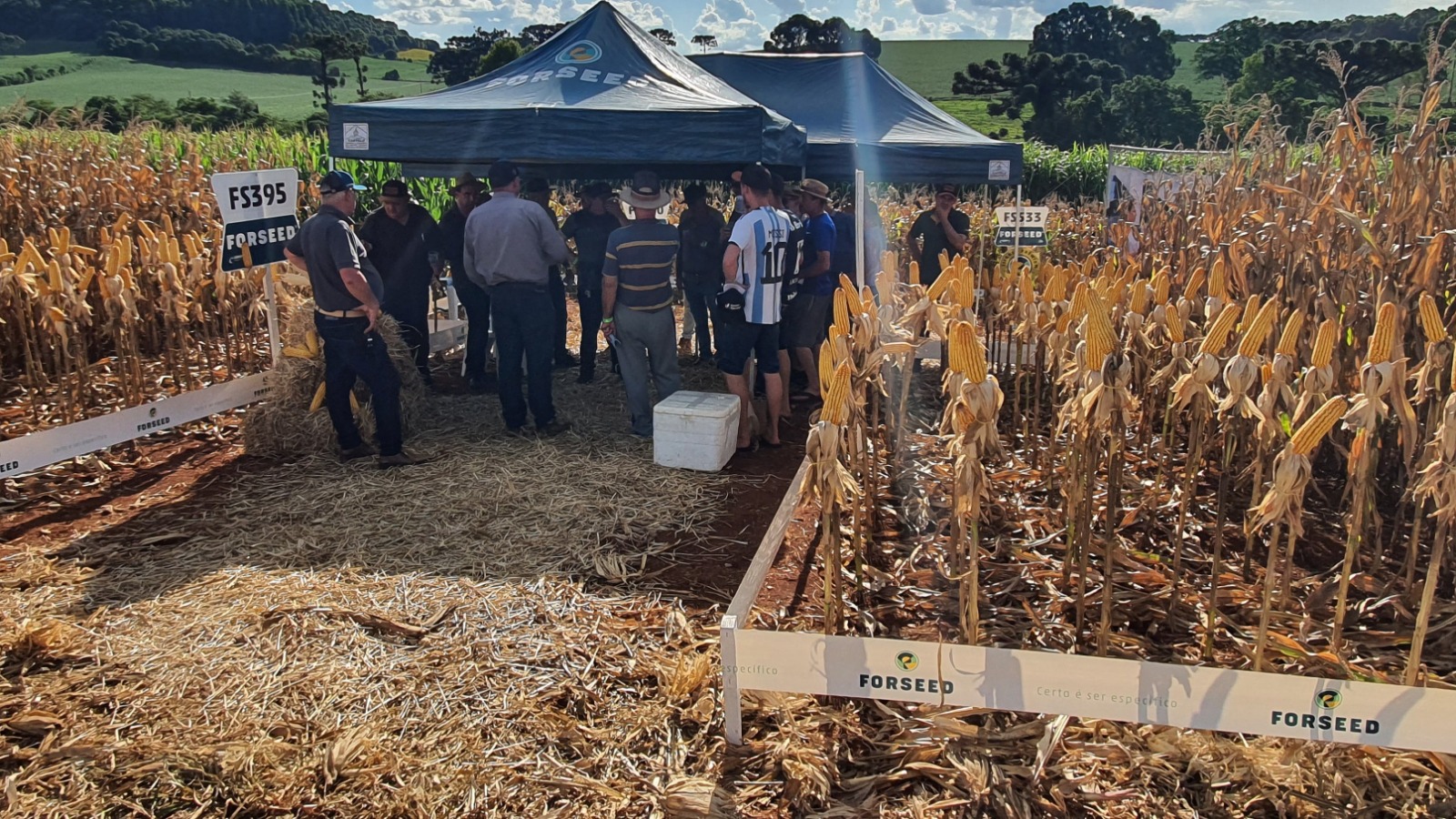 Coasa prepara Noite de Campo de Milho - Especial 30 anos, em Água Santa