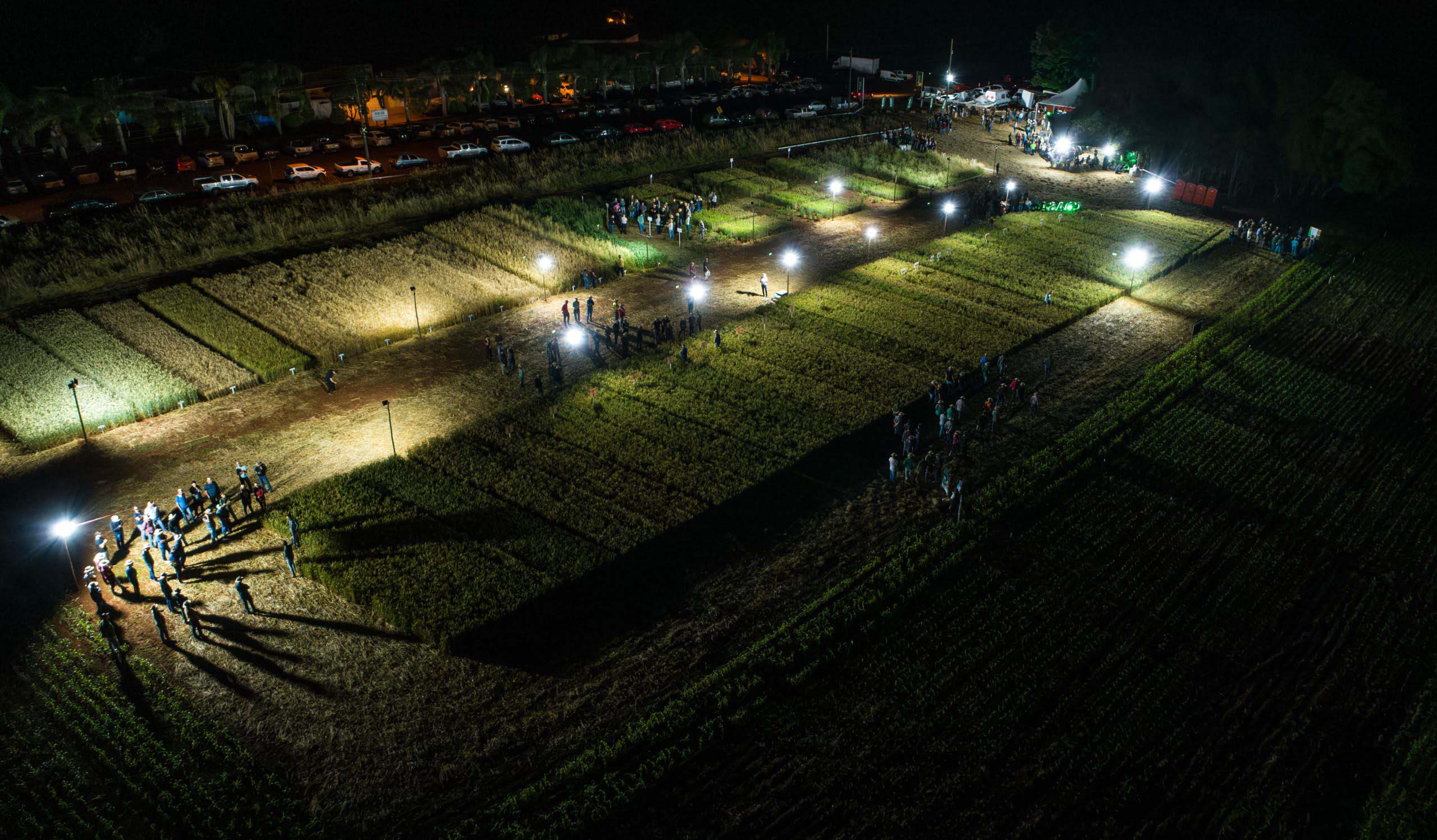 Noite de Campo Coasa é marcada pela troca de informações sobre cereais de inverno e, ainda, grãos de verão