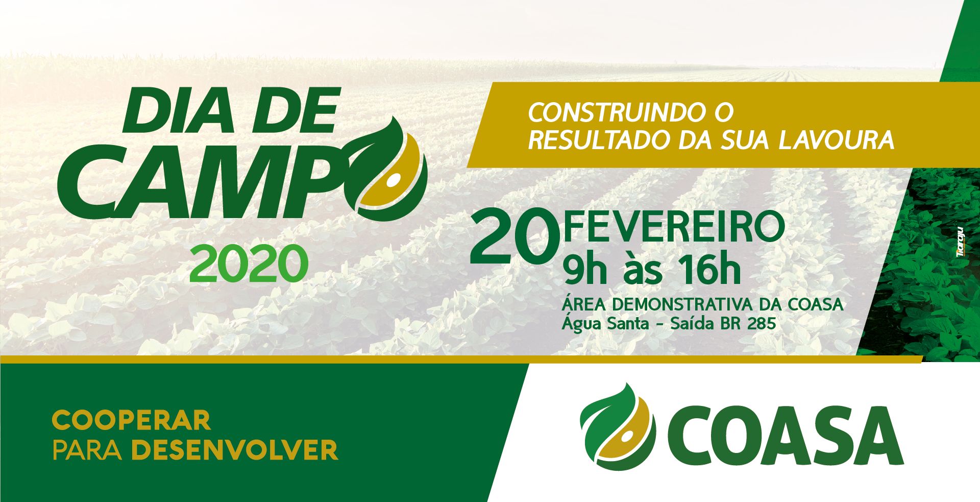 Coasa realiza mais um Dia de Campo na próxima quinta-feira