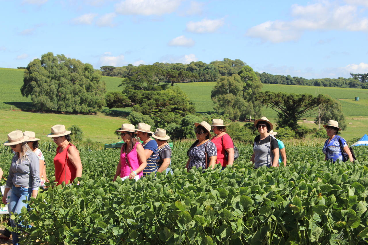 Lançamento: Semana da Mulher Cooperativista | Saberes e Sabores da Terra