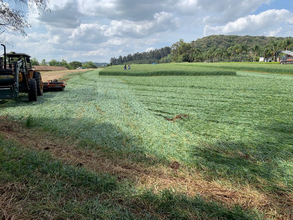 Coasa promove Noite de Campo com foco nas culturas de inverno