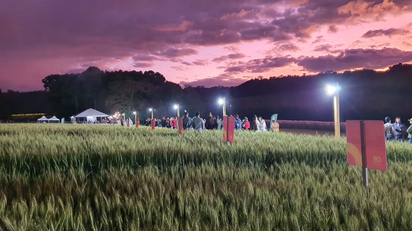 Associados debatem desenvolvimento e rumo das lavouras de inverno na primeira Noite de Campo Coasa