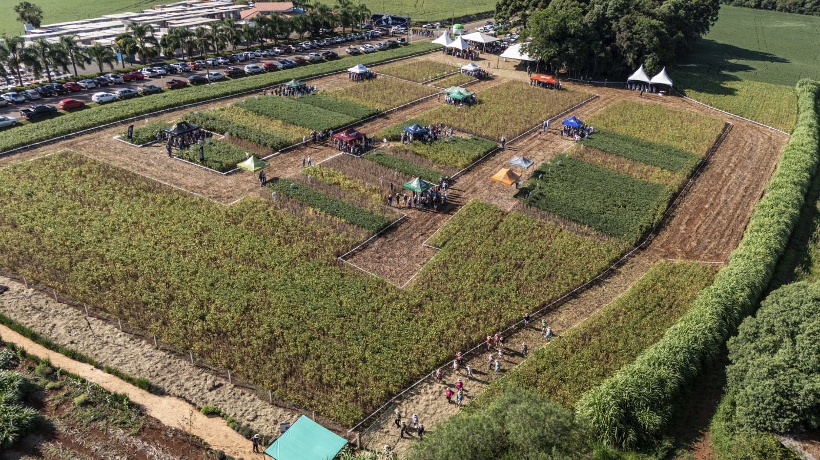 Coasa organiza Dia de Campo 2026 com foco em tecnologia, mercado e práticas sustentáveis