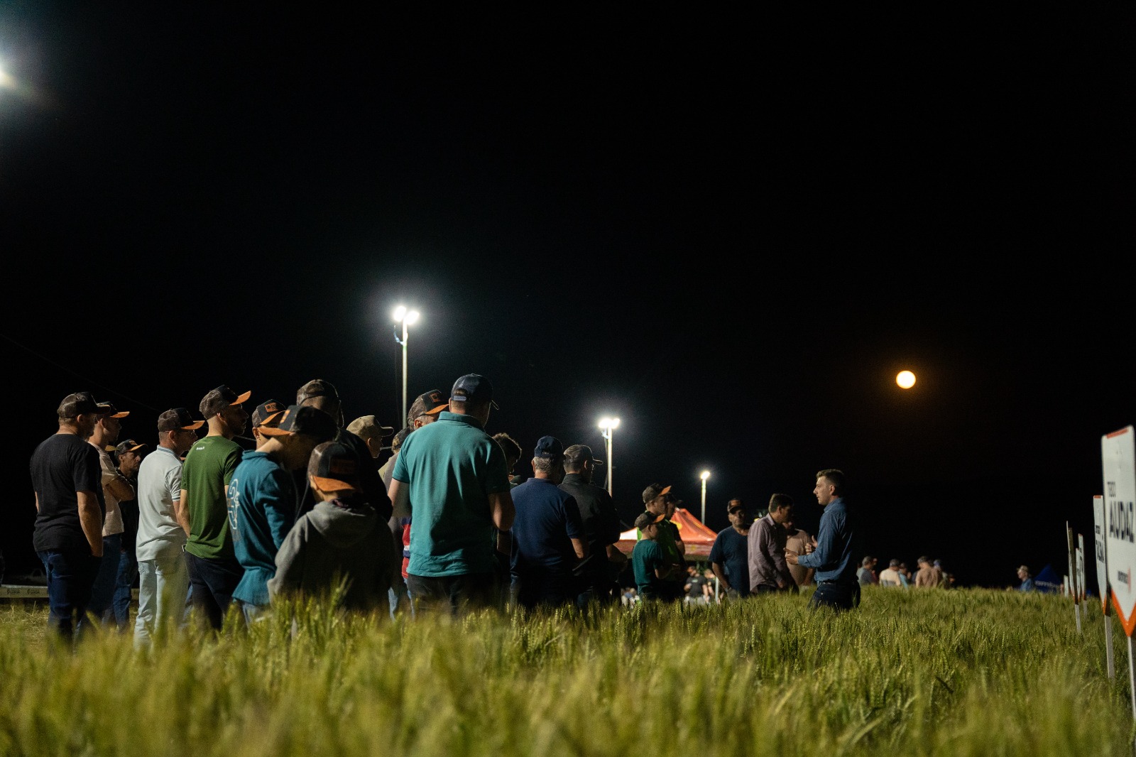 Noite de Campo Coasa reunirá produtores para troca de conhecimentos e apresentação de cultivares de inverno