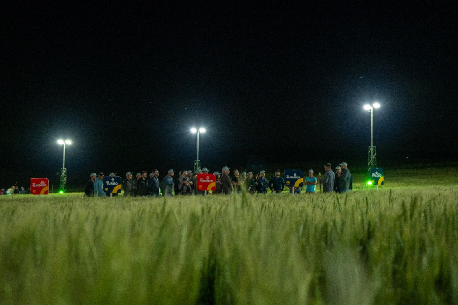 Noite de Campo Coasa apresentará culturas de inverno e técnicas de manejo em Água Santa