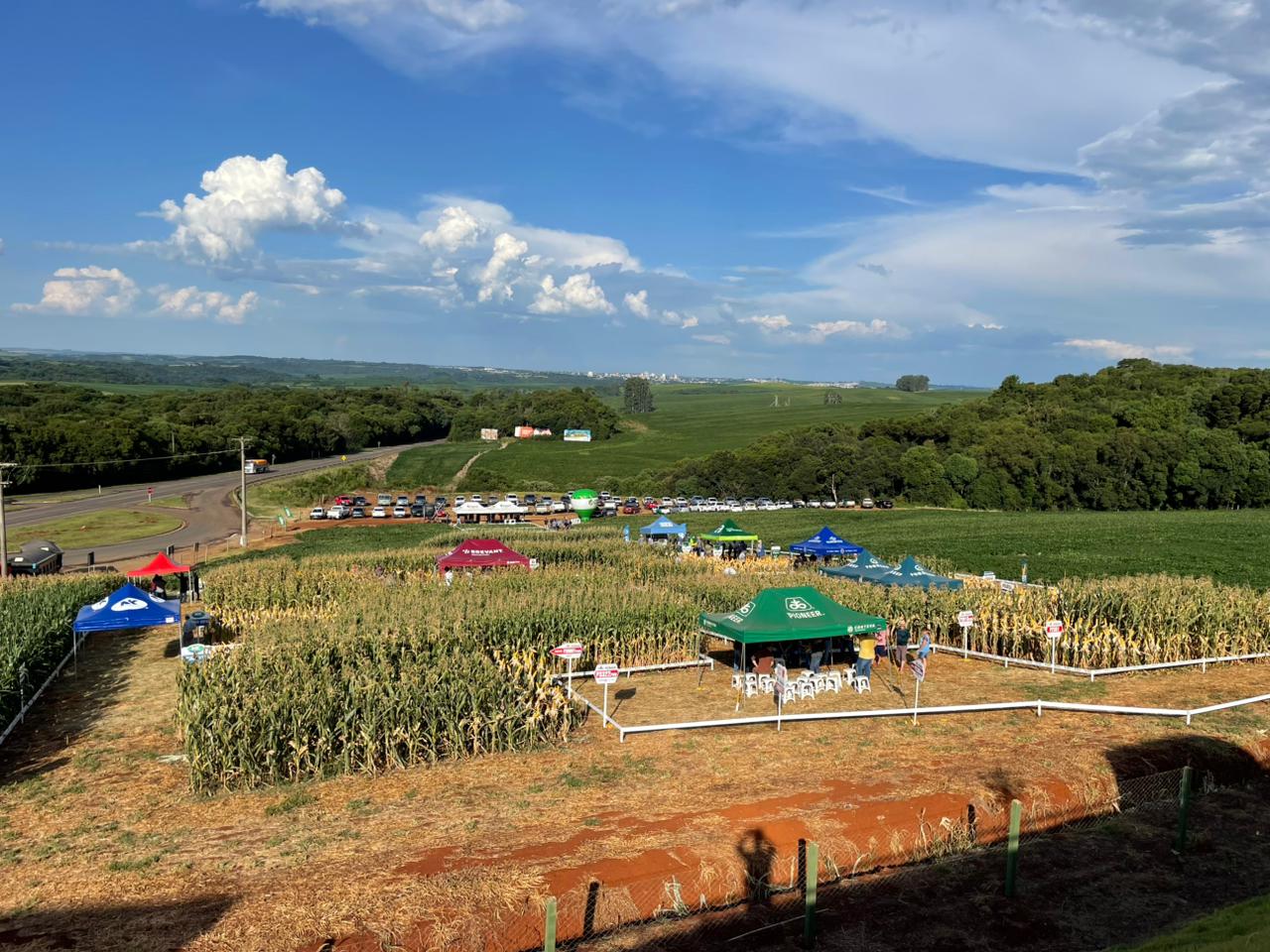 Coasa Lagoa Vermelha promove Tarde de Campo com foco em híbridos de milho