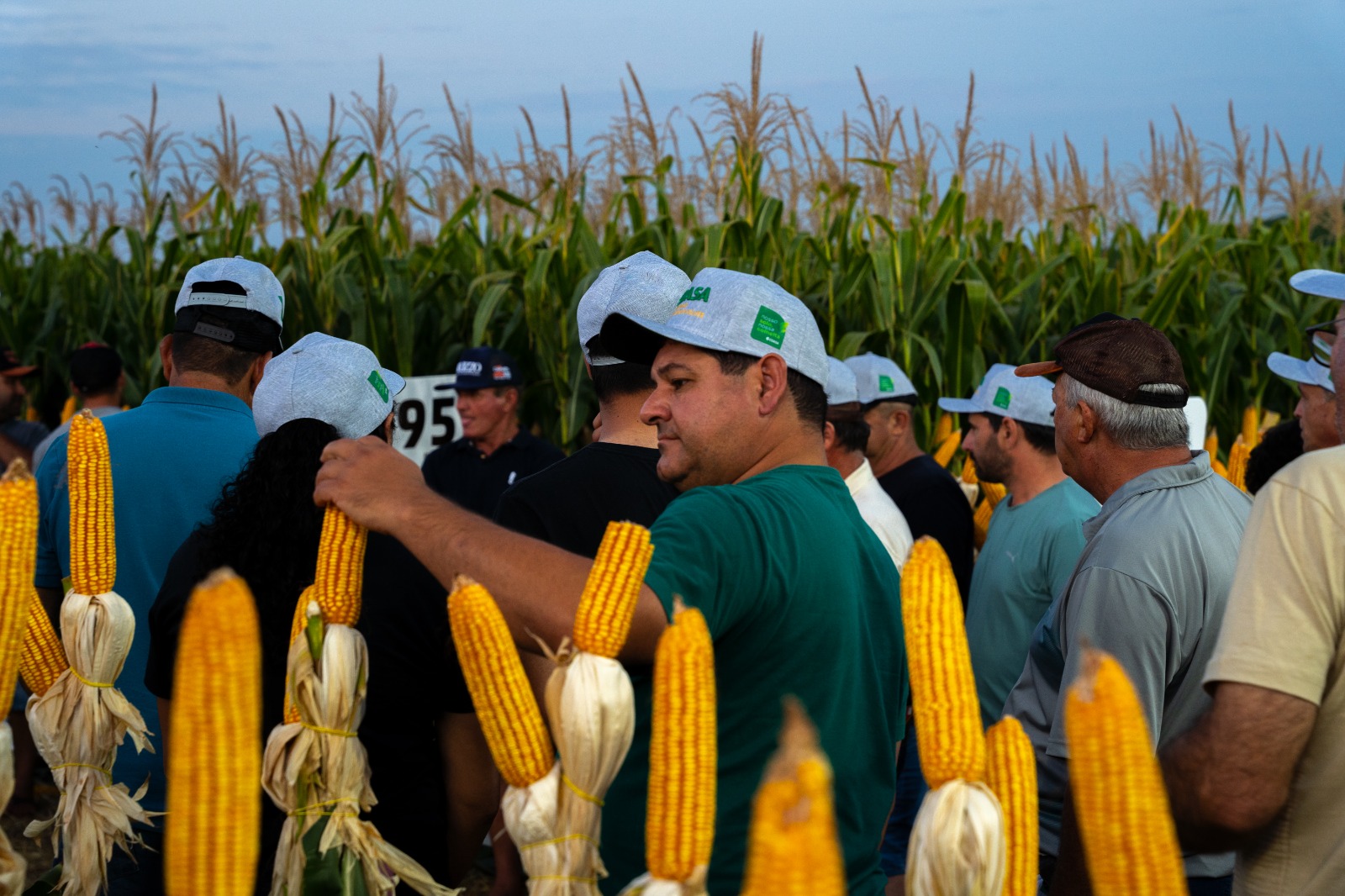 Coasa promove Noite de Campo de Milho - Especial 30 anos - e apresenta tecnologias para grão e silagem