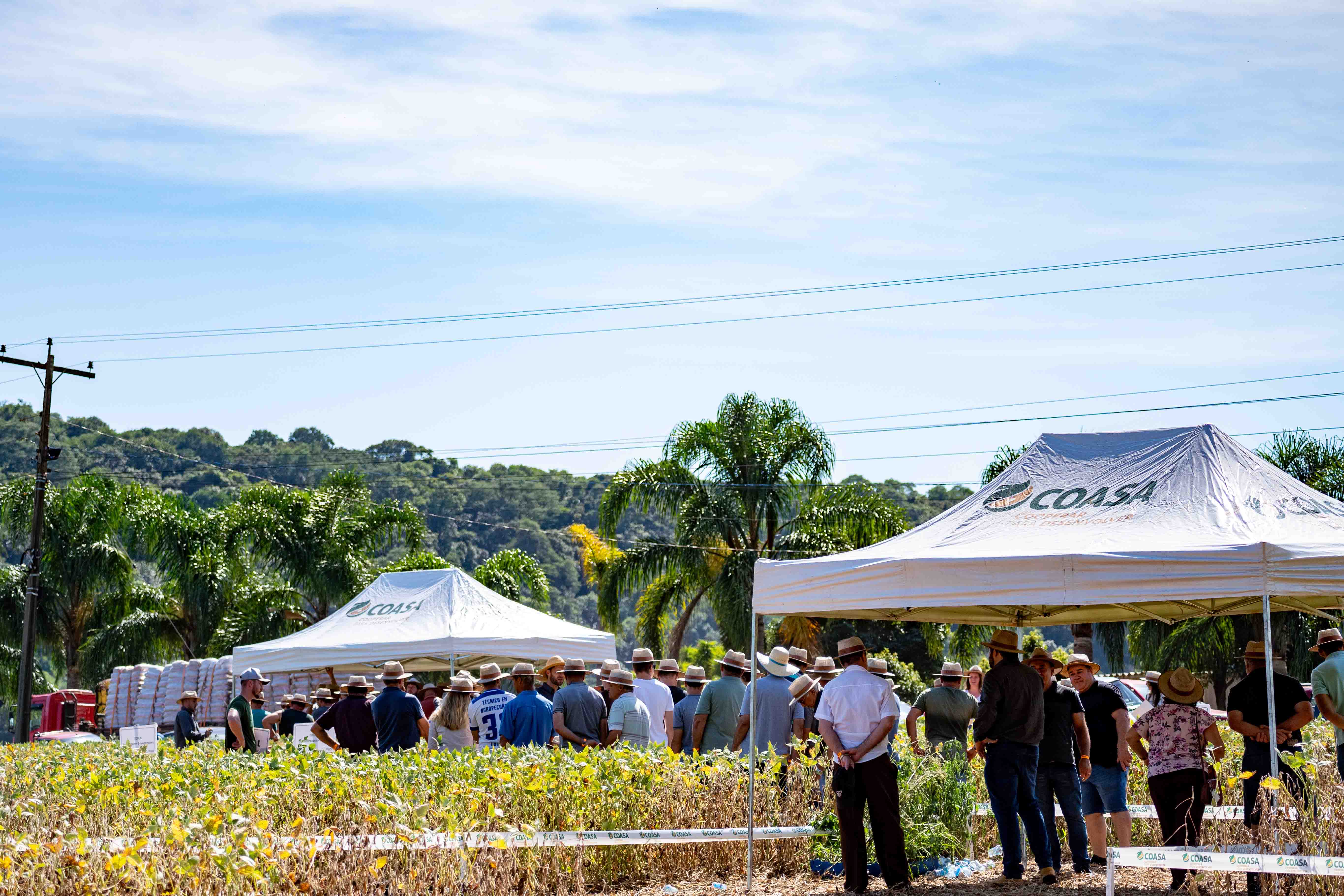 Transferência de experiências e de conhecimentos marcam o Dia de Campo Coasa - Especial 30 Anos