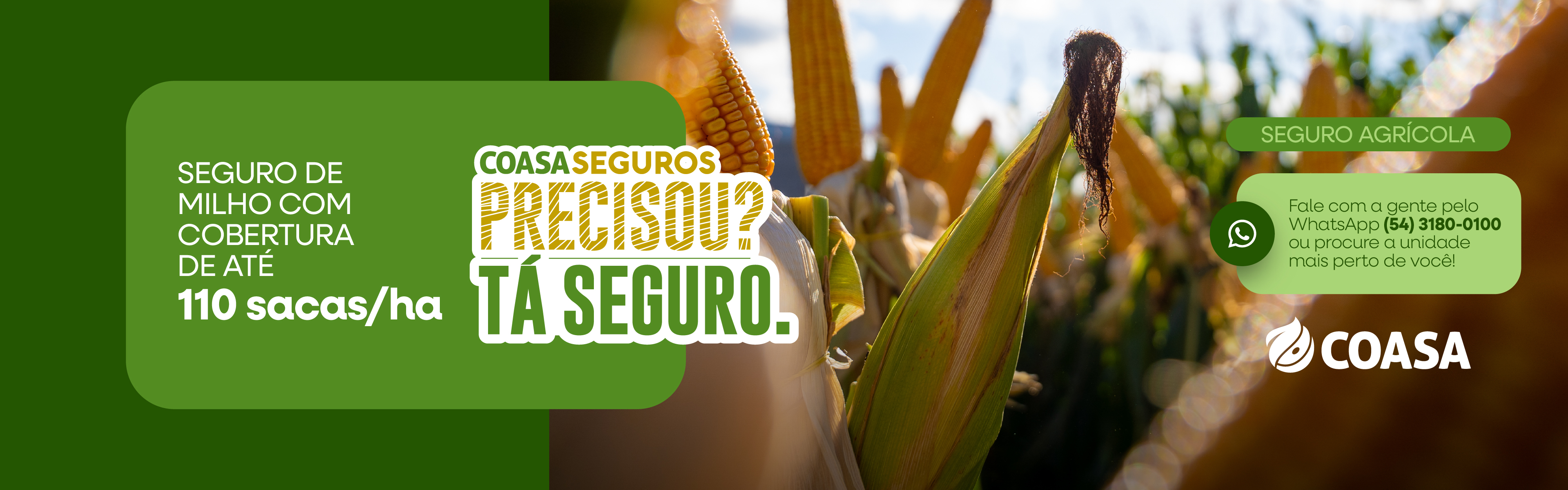Seguro agrícola - milho agosto