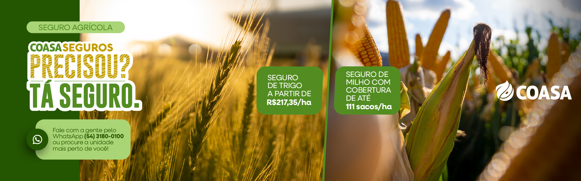Seguro agrícola - milho e trigo