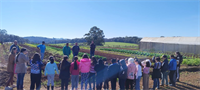 Iniciativa de Mato Castelhano