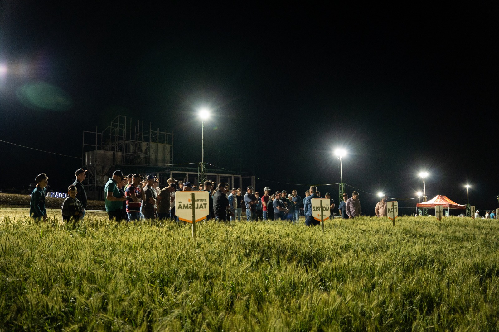 Noite de Campo - Especial 30 anos - promove troca de conhecimentos sobre culturas de inverno