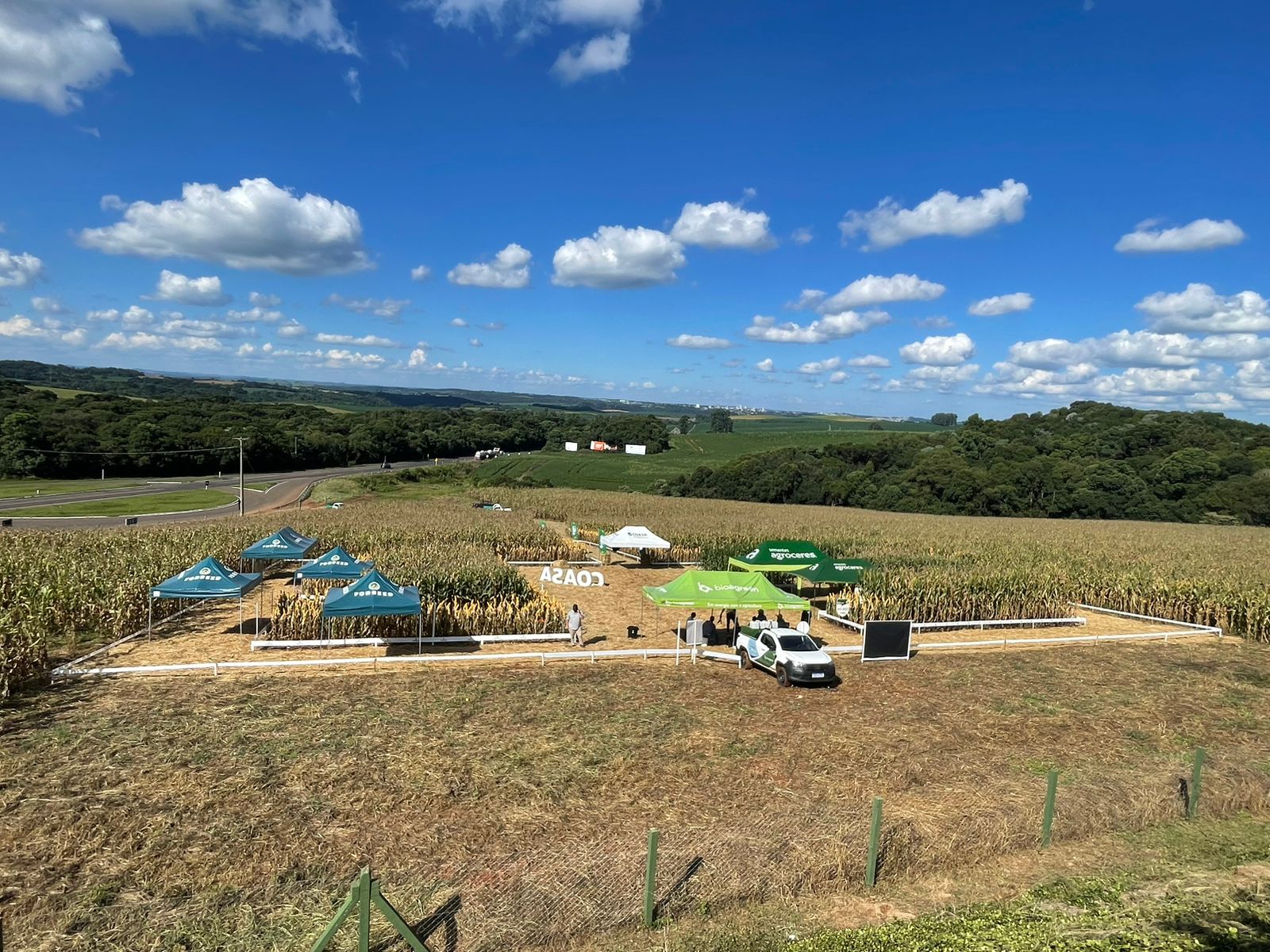 Coasa Lagoa Vermelha realiza Tarde de Campo de Milho