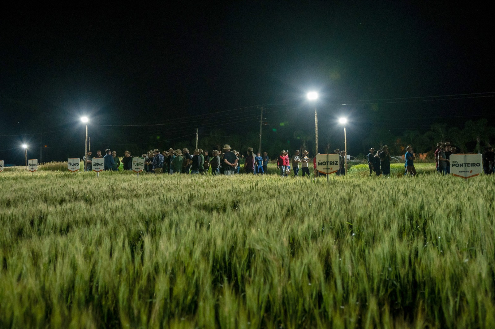 Coasa prepara Noite de Campo com foco nas culturas de inverno